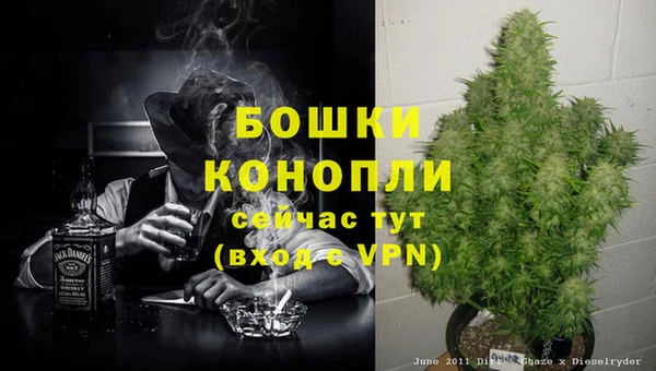 гашик Богородицк