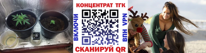 сколько стоит  Пересвет  ТГК жижа 