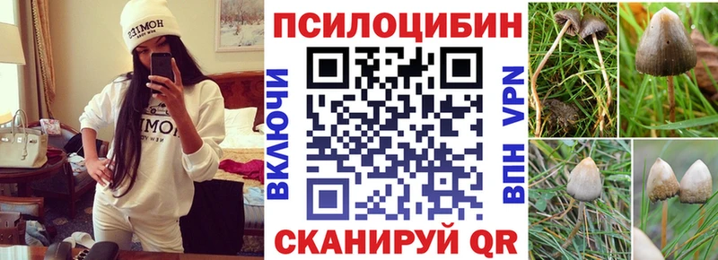 Галлюциногенные грибы GOLDEN TEACHER  цены наркотик  Пересвет 